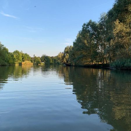 Zorghotel De Ceder Deinze Exteriör bild